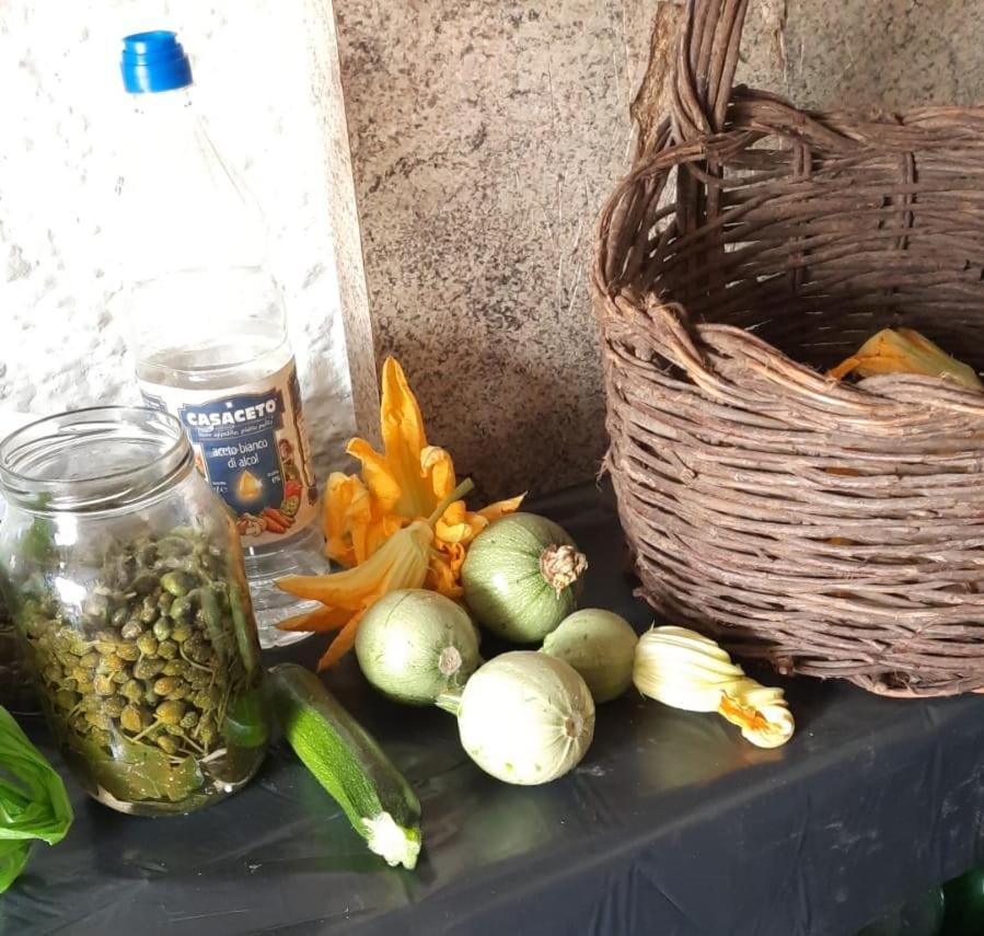 Trullo Antelmi Βίλα Ceglie Messapica Εξωτερικό φωτογραφία