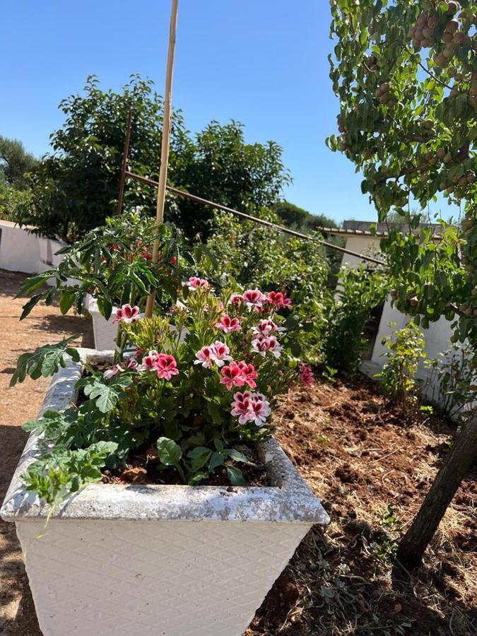 Trullo Antelmi Βίλα Ceglie Messapica Εξωτερικό φωτογραφία