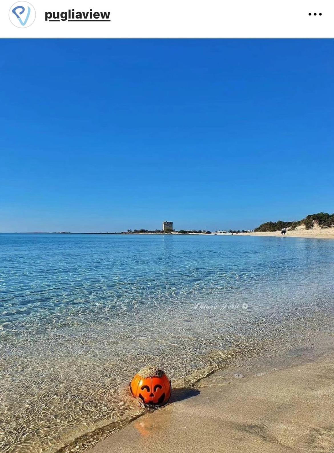 Trullo Antelmi Βίλα Ceglie Messapica Εξωτερικό φωτογραφία